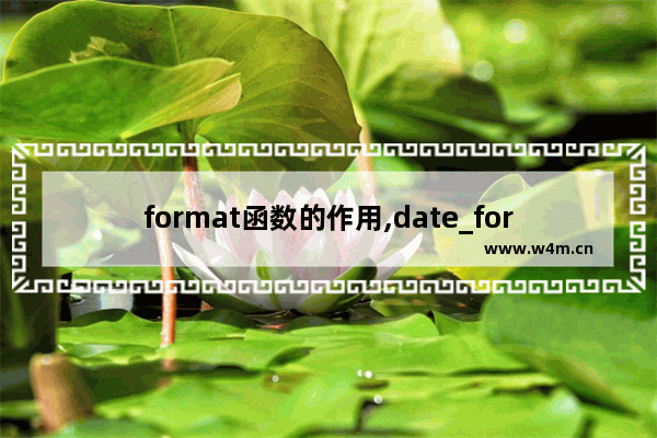 format函数的作用,date_format函数