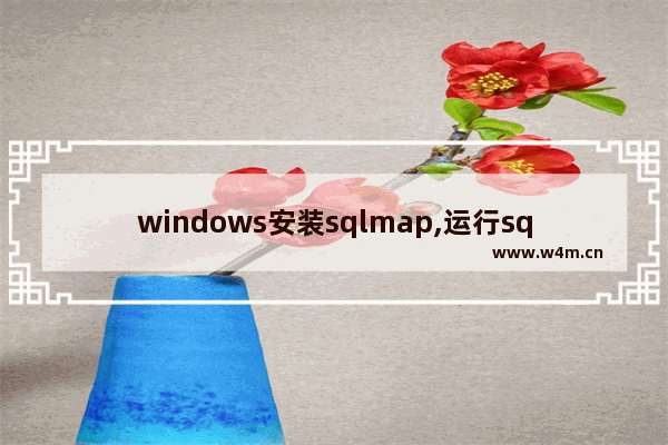 windows安装sqlmap,运行sqlmap