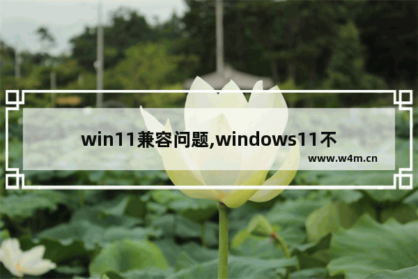 win11兼容问题,windows11不兼容