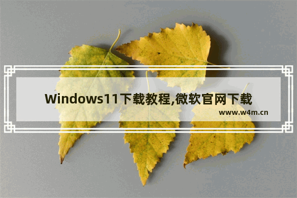 Windows11下载教程,微软官网下载win11系统