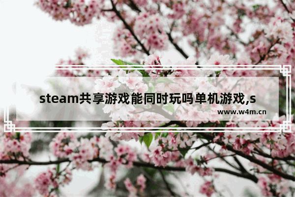 steam共享游戏能同时玩吗单机游戏,steam共享游戏能同时玩联机吗