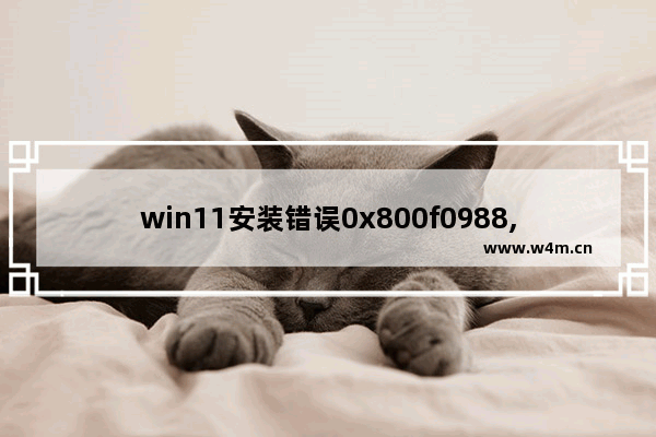 win11安装错误0x800f0988,0x800f0950win10