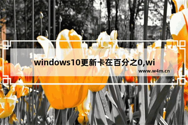 windows10更新卡在百分之0,win10更新卡在0%怎么办