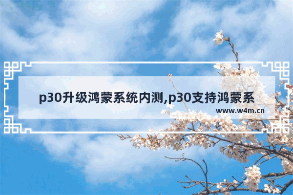 p30升级鸿蒙系统内测,p30支持鸿蒙系统