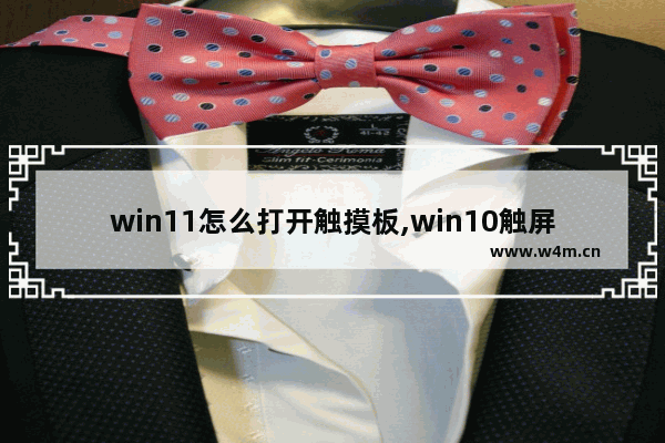 win11怎么打开触摸板,win10触屏怎么操作