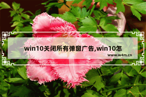 win10关闭所有弹窗广告,win10怎么关闭弹窗广告