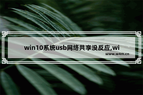 win10系统usb网络共享没反应,win10usb共享网络无internet