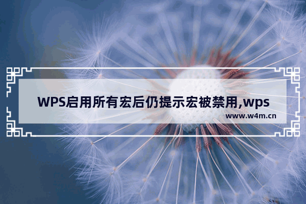 WPS启用所有宏后仍提示宏被禁用,wps宏被禁用是什么意思