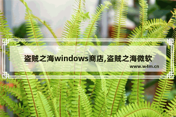 盗贼之海windows商店,盗贼之海微软商店多少钱