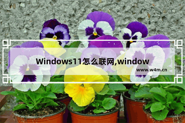 Windows11怎么联网,window10系统宽带连接步骤