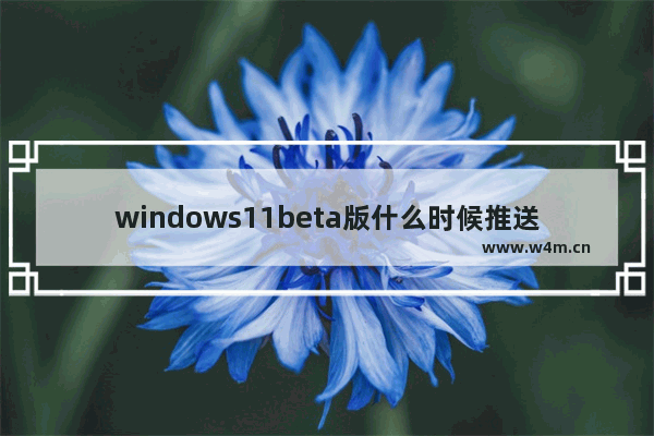 windows11beta版什么时候推送,win11beta版什么时候发布