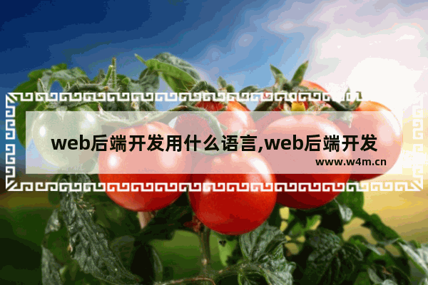 web后端开发用什么语言,web后端开发用什么语言