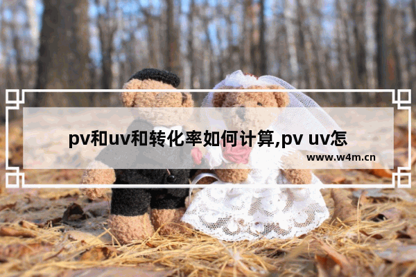 pv和uv和转化率如何计算,pv uv怎么统计