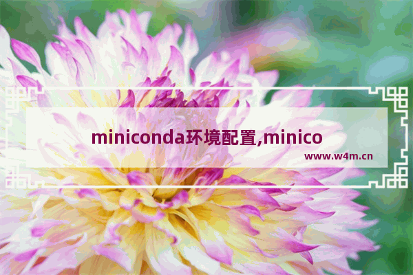 miniconda环境配置,miniconda和anaconda都安装