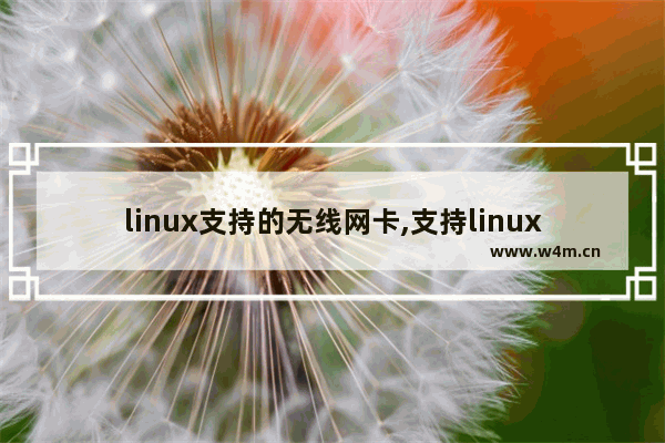 linux支持的无线网卡,支持linux的usb有线网卡