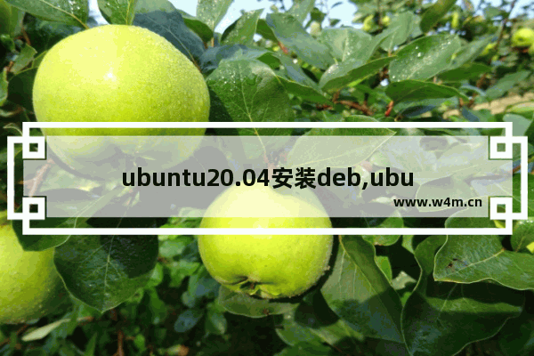 ubuntu20.04安装deb,ubuntu18.04安装deb