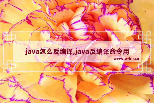 java怎么反编译,java反编译命令用法