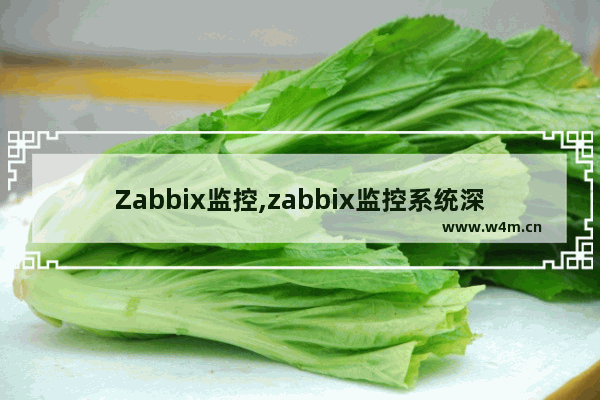 Zabbix监控,zabbix监控系统深度实践