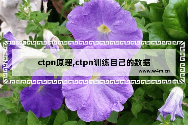 ctpn原理,ctpn训练自己的数据