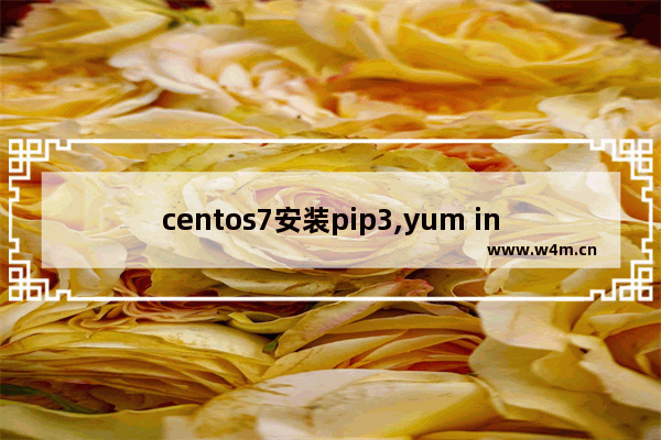 centos7安装pip3,yum install pip