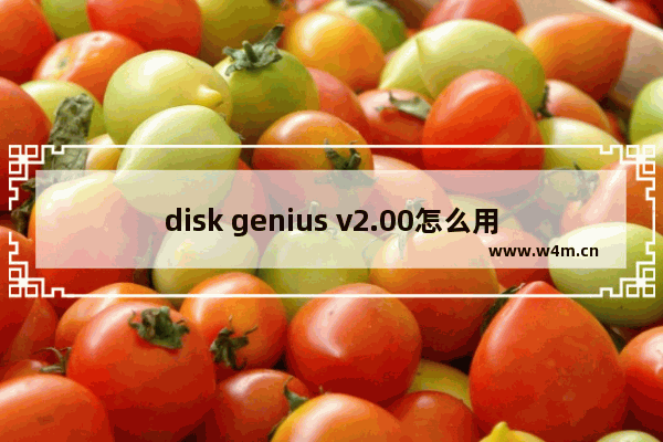 disk genius v2.00怎么用 如何使用Disk Genius V2.00