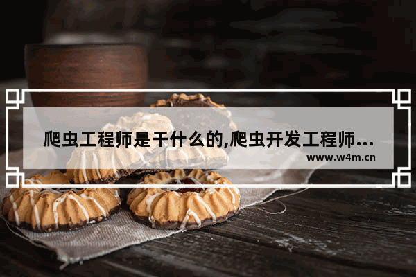 爬虫工程师是干什么的,爬虫开发工程师是什么