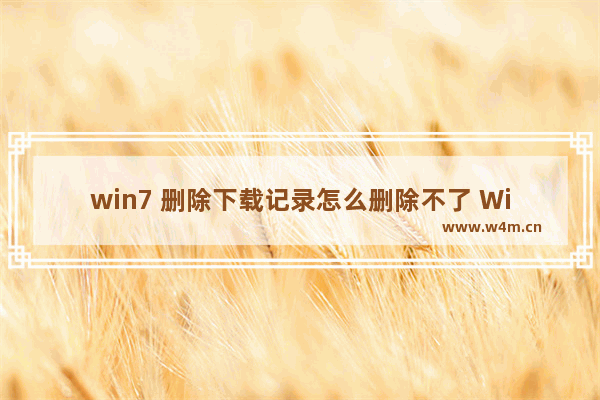 win7 删除下载记录怎么删除不了 Win7怎样删除下载历史记录？