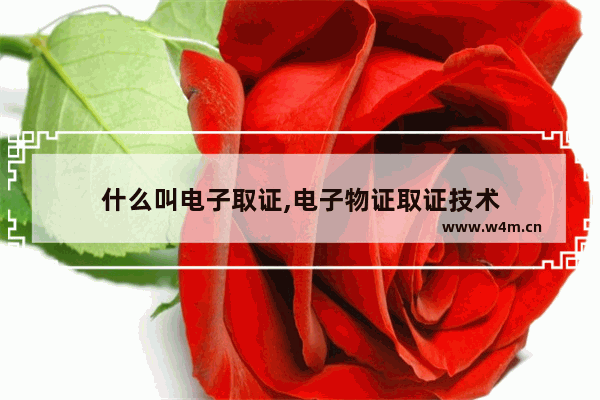 什么叫电子取证,电子物证取证技术