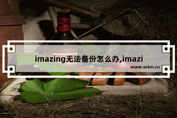 imazing无法备份怎么办,imazing备份不了应用程序