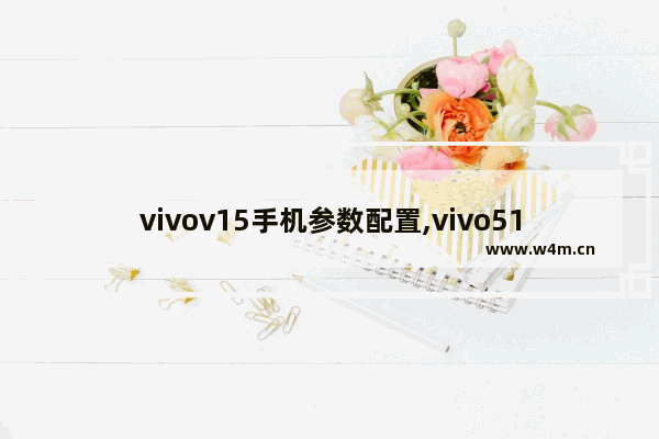 vivov15手机参数配置,vivo51s手机参数配置图片