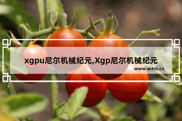 xgpu尼尔机械纪元,Xgp尼尔机械纪元设置中文