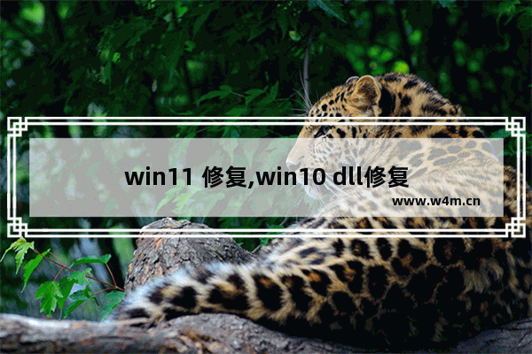 win11 修复,win10 dll修复