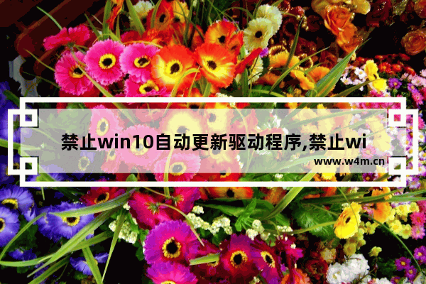 禁止win10自动更新驱动程序,禁止win10自动更新补丁