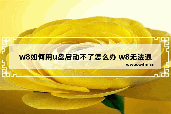 w8如何用u盘启动不了怎么办 w8无法通过U盘启动，应该怎么处理？