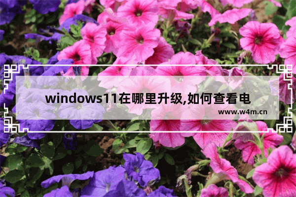 windows11在哪里升级,如何查看电脑能否升级win11