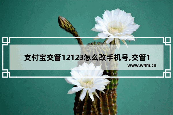 支付宝交管12123怎么改手机号,交管12123怎么改手机号登不进怎么办-