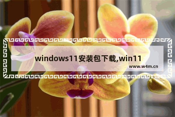 windows11安装包下载,win11下载安装教程