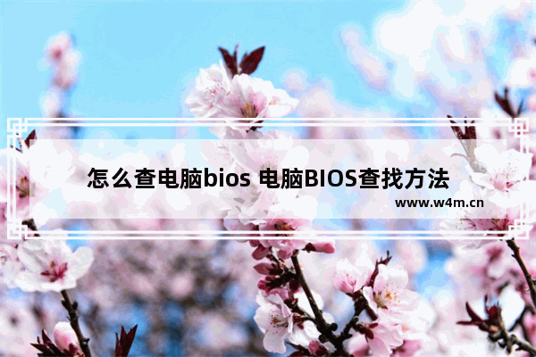 怎么查电脑bios 电脑BIOS查找方法