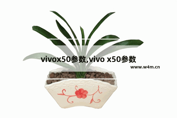 vivox50参数,vivo x50参数详细参数怎么样查看