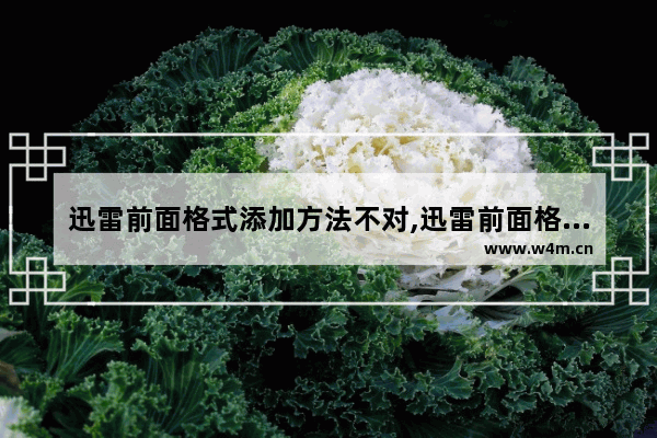 迅雷前面格式添加方法不对,迅雷前面格式添加方法怎么设置