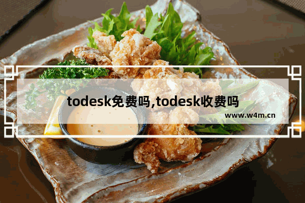 todesk免费吗,todesk收费吗