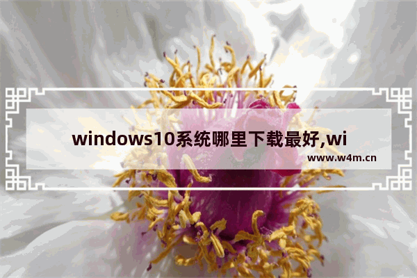 windows10系统哪里下载最好,win10系统下载地址