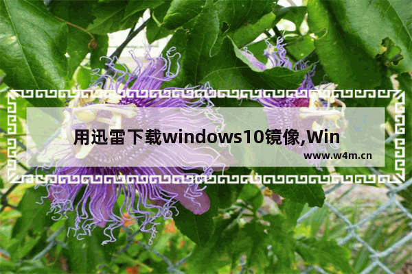 用迅雷下载windows10镜像,Win10镜像文件下载