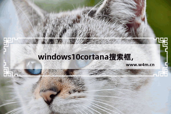 windows10cortana搜索框,win10cortana搜索栏