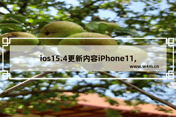 ios15.4更新内容iPhone11,ios15.4更新内容带口罩