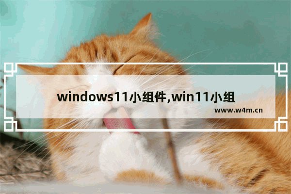 windows11小组件,win11小组件怎么自定义