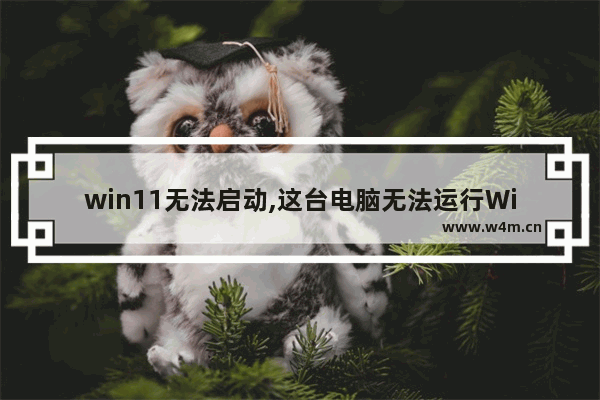 win11无法启动,这台电脑无法运行Win11