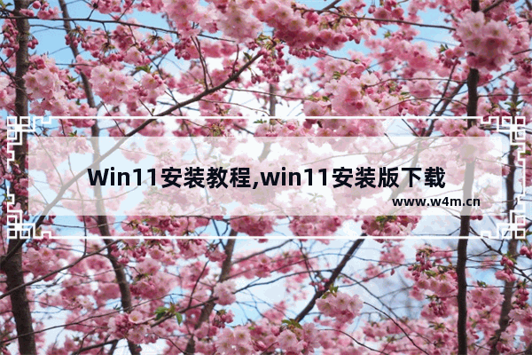 Win11安装教程,win11安装版下载