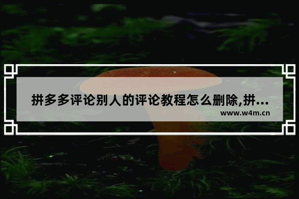 拼多多评论别人的评论教程怎么删除,拼多多评论别人的评论教程是真的吗