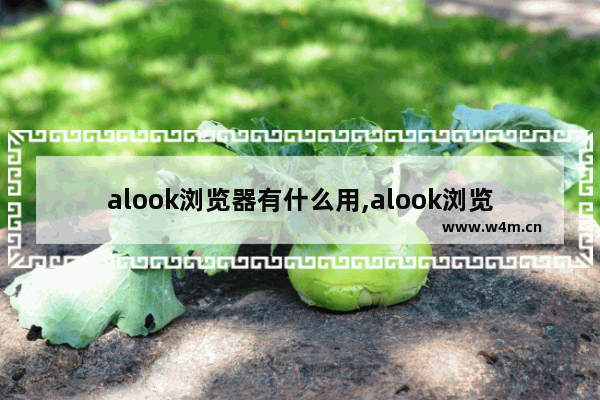 alook浏览器有什么用,alook浏览器 百度百科